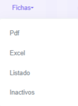 Opciones Fichas Inmovilizado